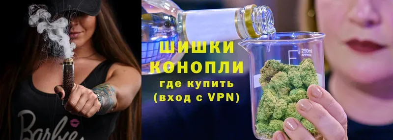 Конопля SATIVA & INDICA  как найти   Поворино 